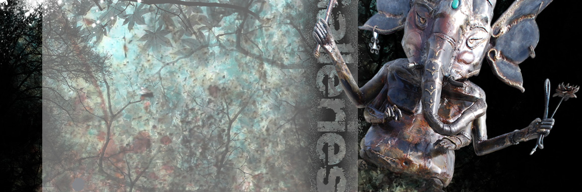 rick davis background image 2