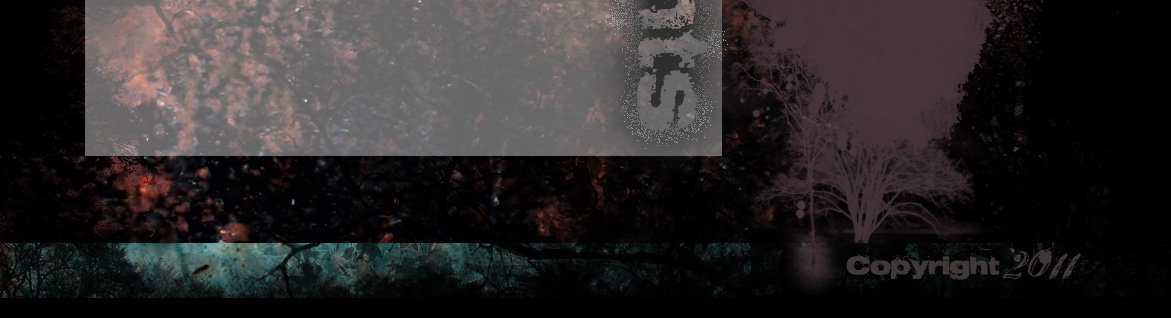 rick davis background image 4